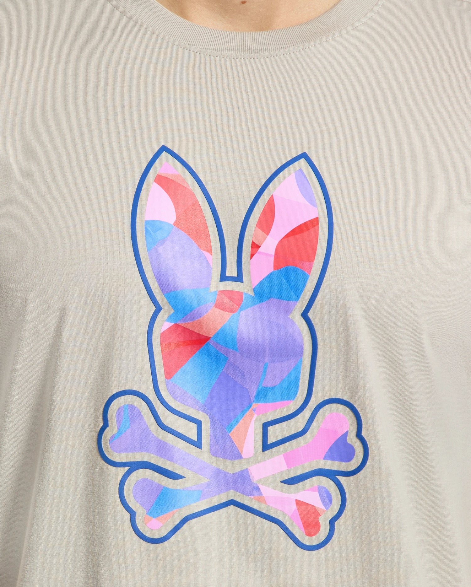 MENS ALAMOSA GRAPHIC TEE - B6U018D200
